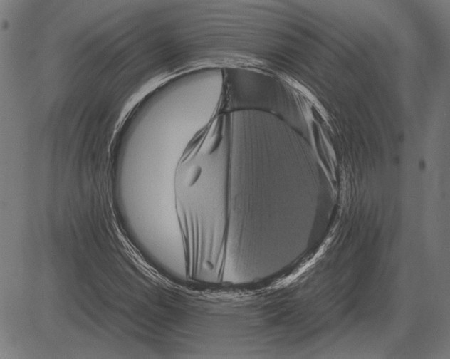 X0000081471114200702021825