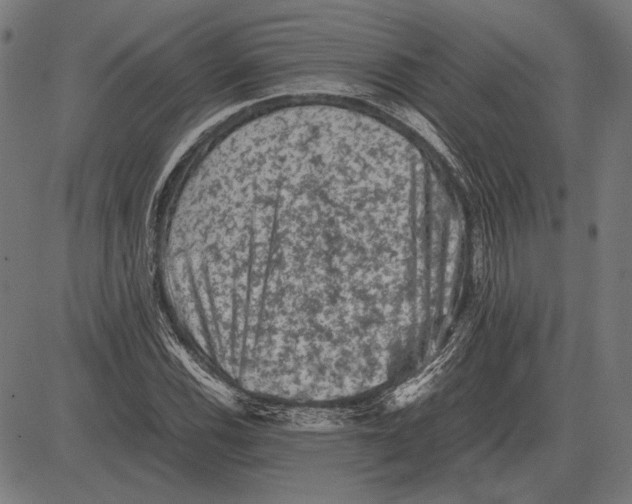 X0000081471116200702021825