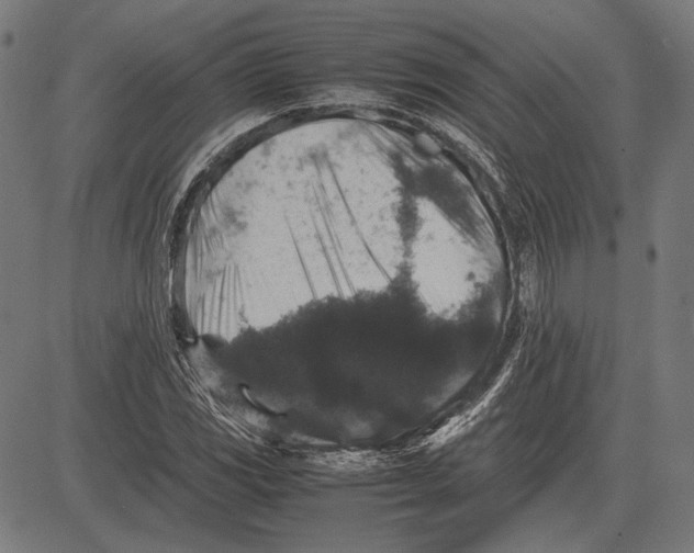 X0000081471117200702021825