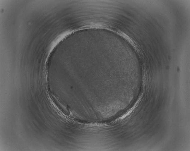 X0000081471118200702021825