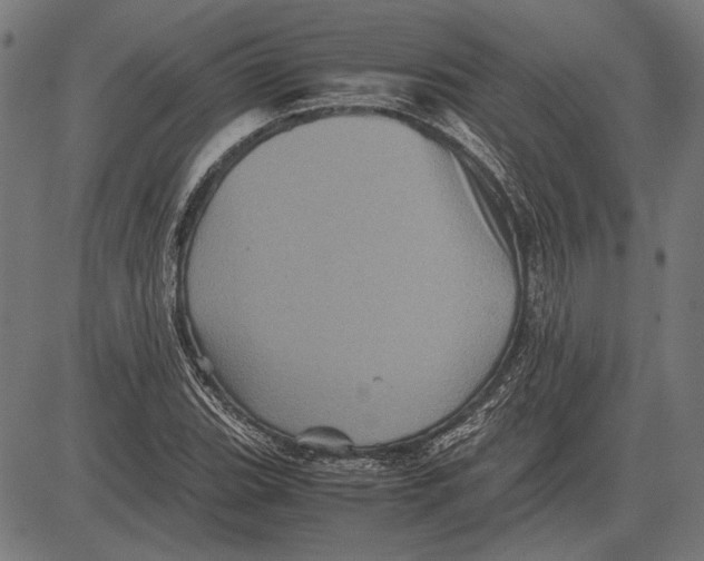 X0000081471119200702021825