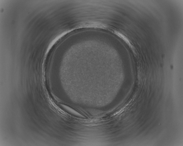 X0000081471120200702021825