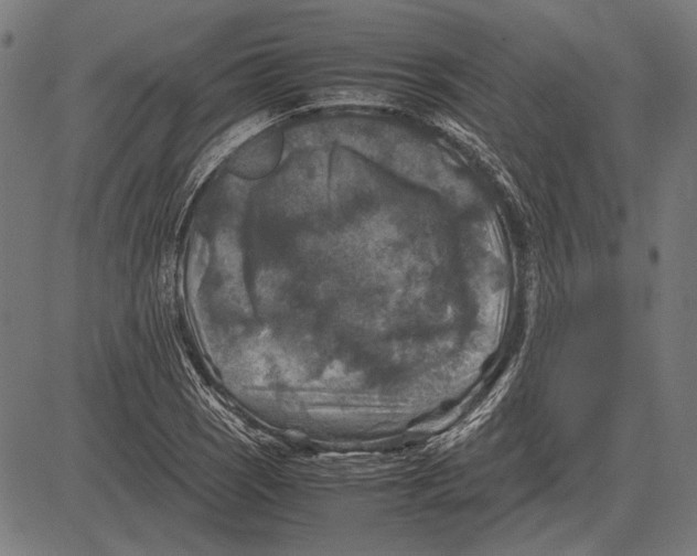 X0000081471121200702021825