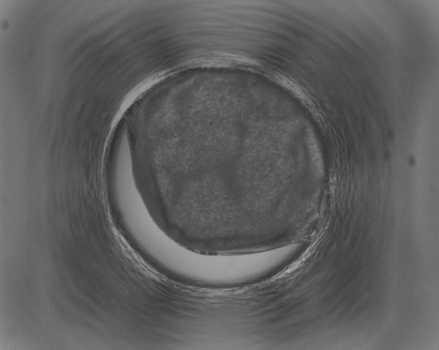 X0000081471122200702021825