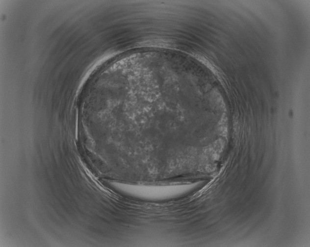 X0000081471123200702021825