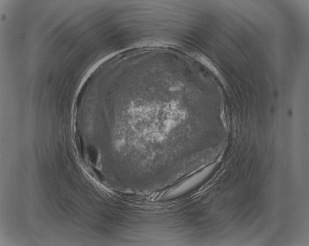 X0000081471124200702021825