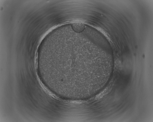 X0000081471126200702021825