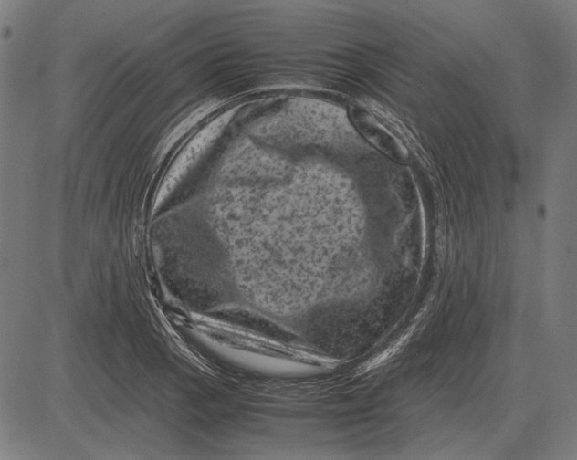 X0000081471129200702021826