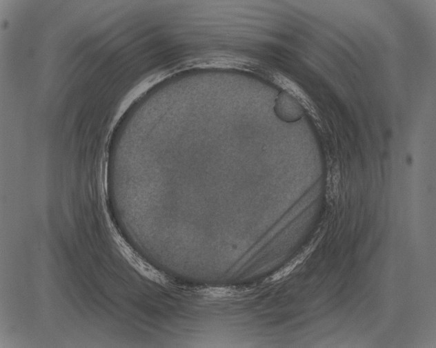 X0000081471130200702021826