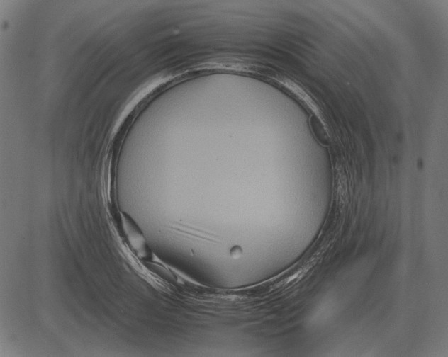 X0000081471131200702021826