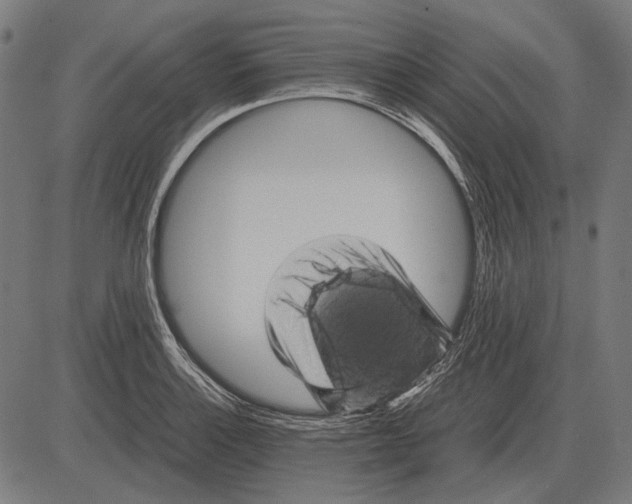 X0000081471132200702021826