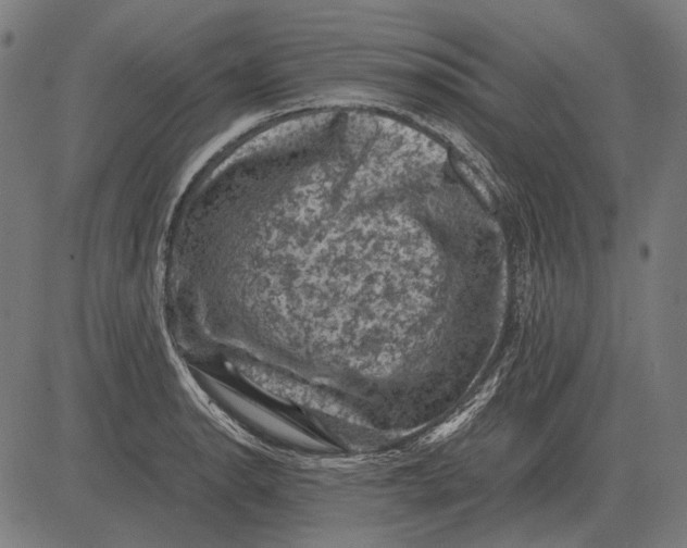 X0000081471134200702021826