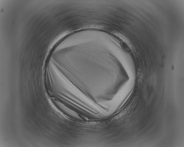 X0000081471135200702021826