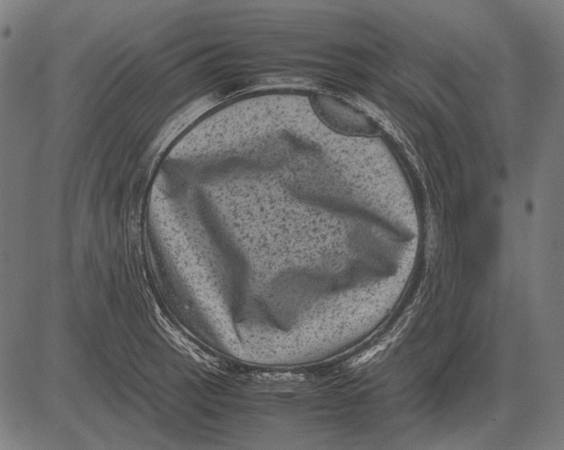 X0000081471137200702021826