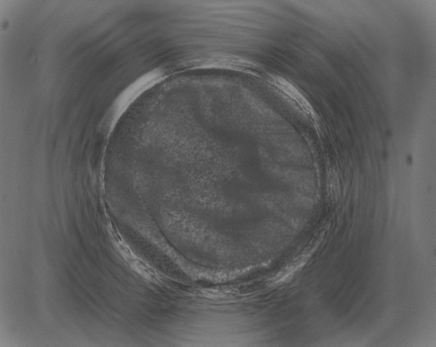 X0000081471138200702021826