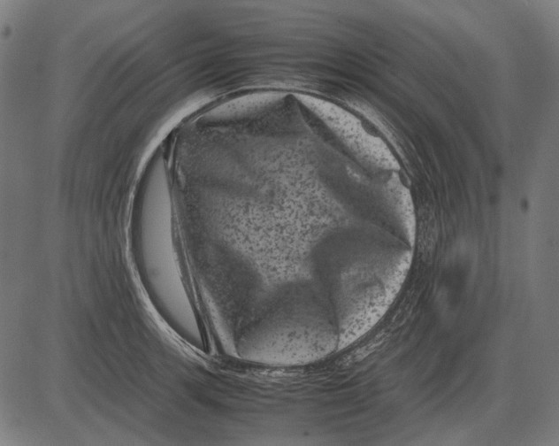 X0000081471139200702021826