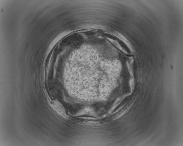 X0000081471140200702021826