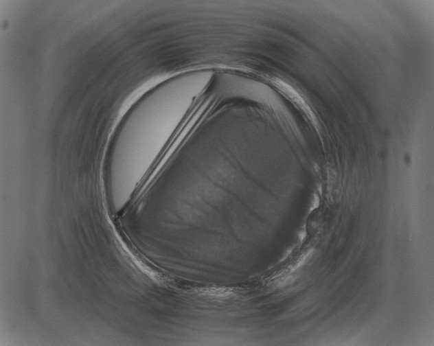 X0000081471141200702021826