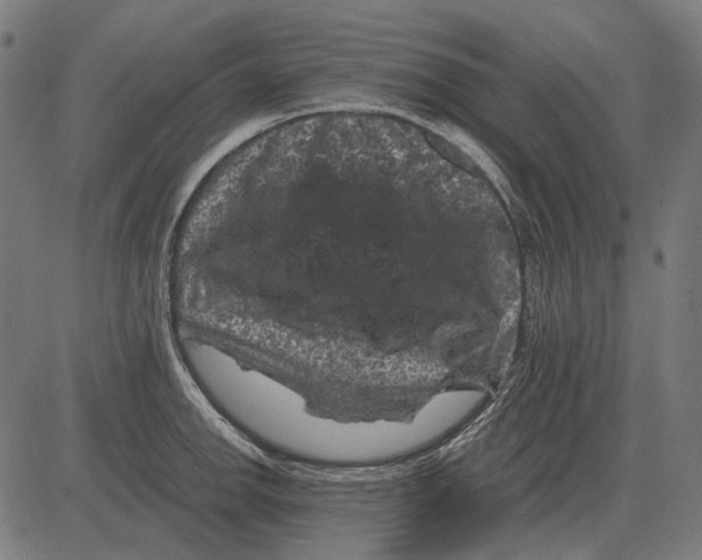 X0000081471142200702021826