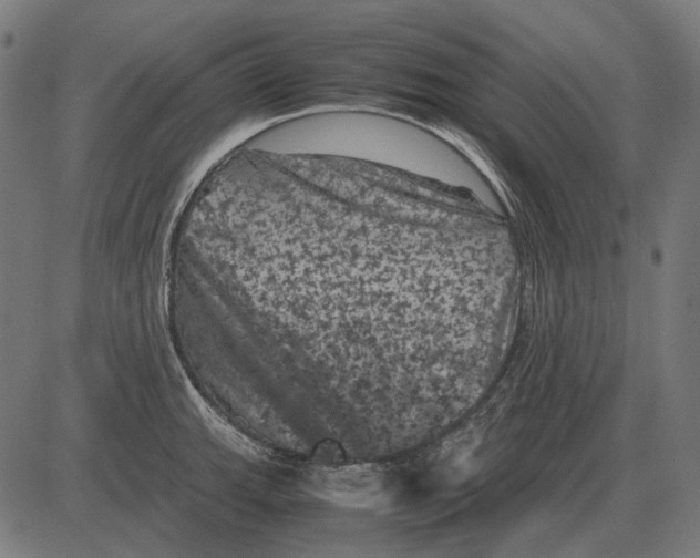 X0000081471143200702021826