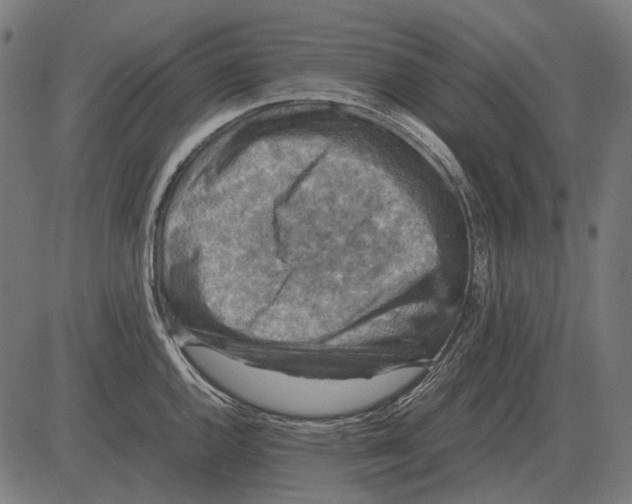 X0000081471144200702021826