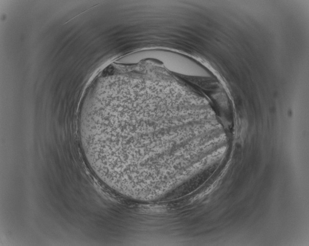 X0000081471145200702021826