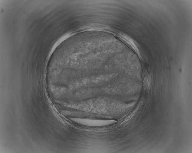 X0000081471146200702021826