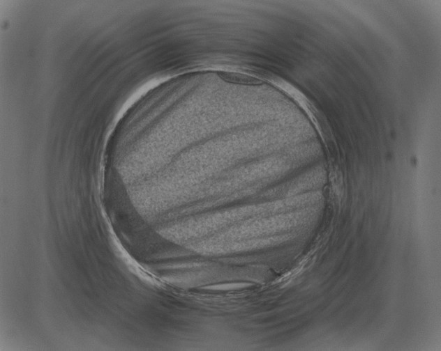 X0000081471147200702021826