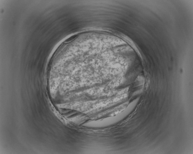 X0000081471148200702021826