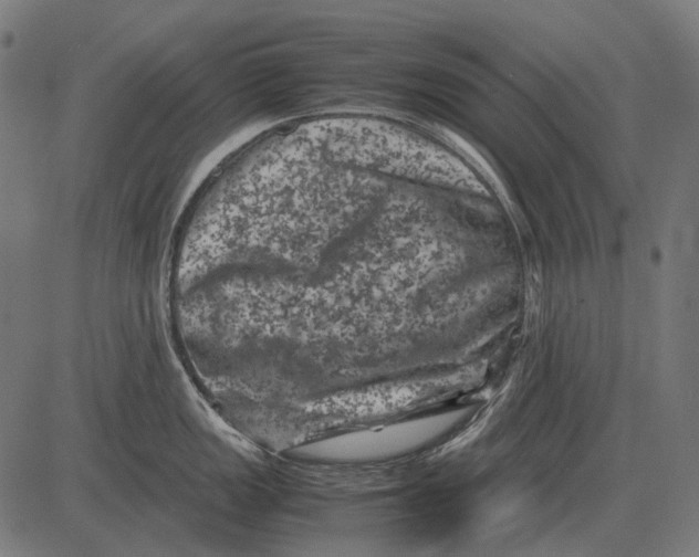 X0000081471149200702021826