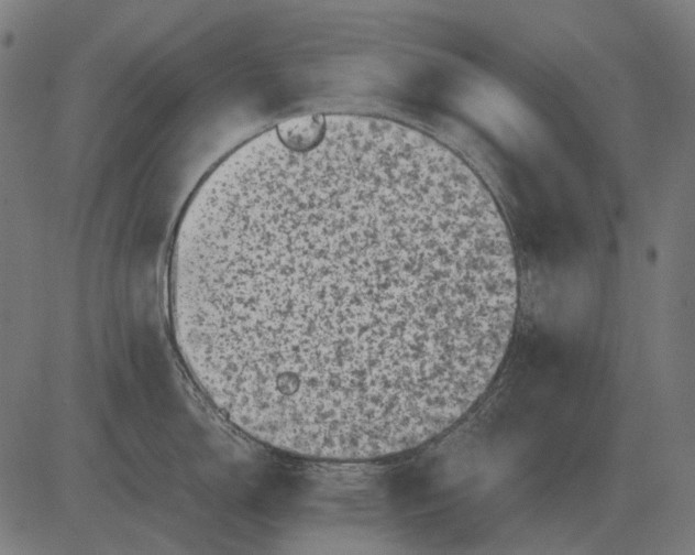 X0000081471150200702021826