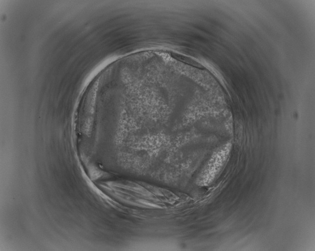 X0000081471151200702021826