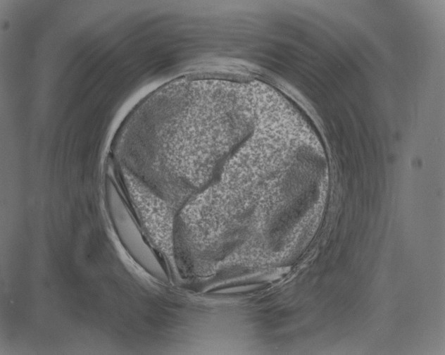 X0000081471152200702021826