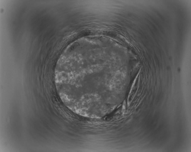 X0000081471153200702021825