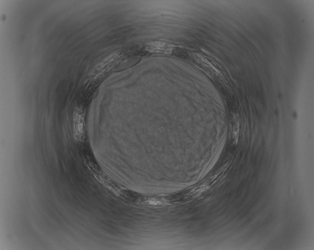 X0000081471154200702021825