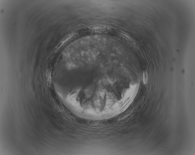 X0000081471155200702021825