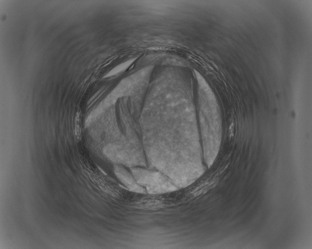 X0000081471156200702021825