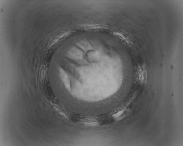 X0000081471157200702021825