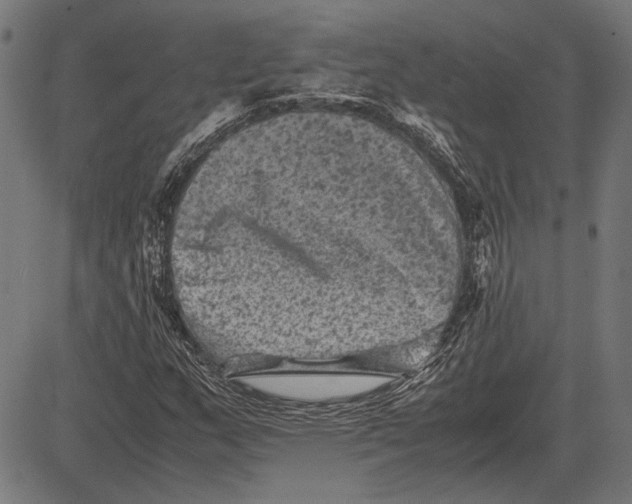 X0000081471159200702021825