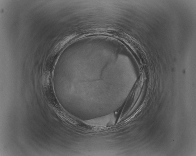 X0000081471161200702021825