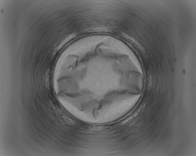 X0000081471162200702021825