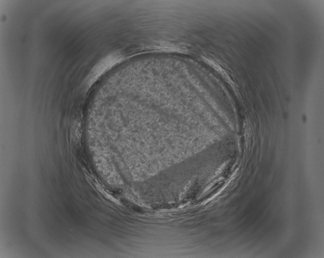 X0000081471163200702021825