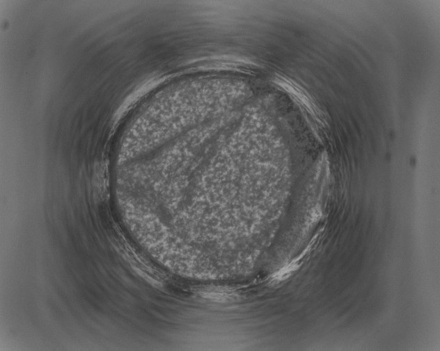 X0000081471164200702021825