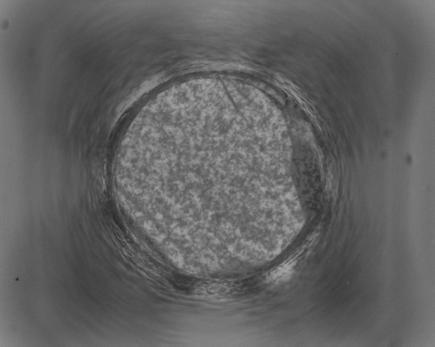 X0000081471165200702021825