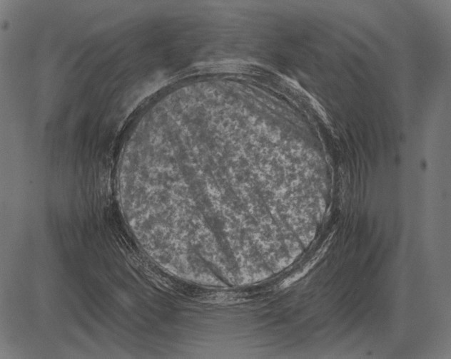 X0000081471166200702021825