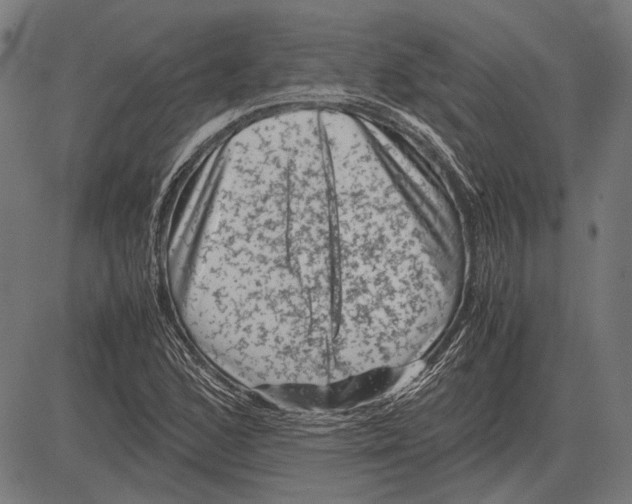 X0000081471168200702021825