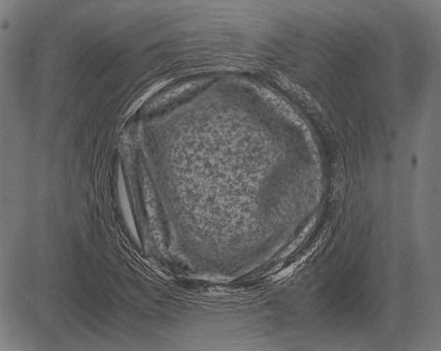 X0000081471169200702021825