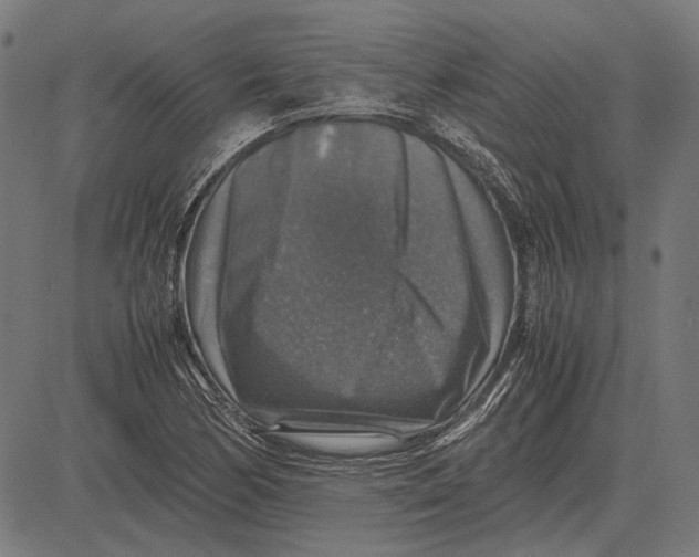 X0000081471170200702021825