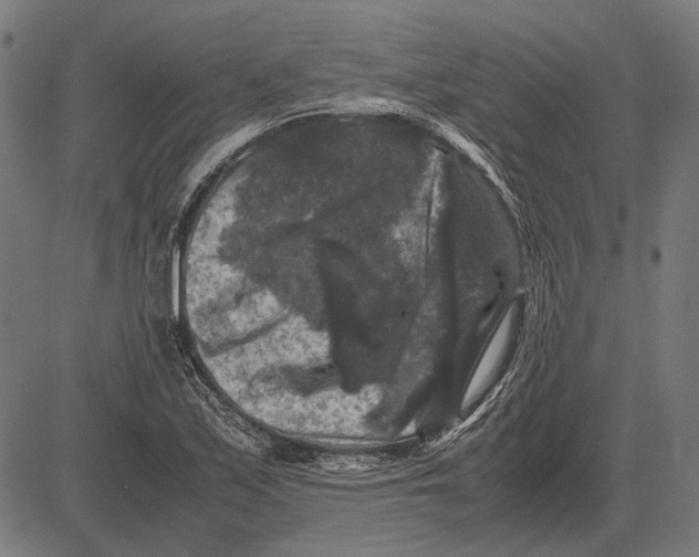 X0000081471171200702021825