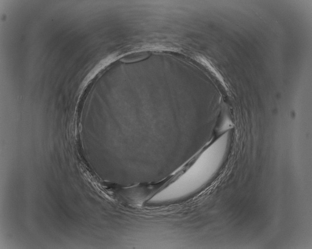 X0000081471173200702021825